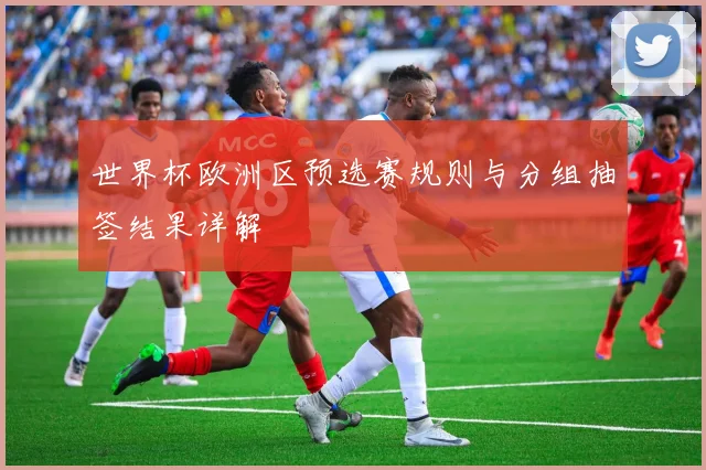 世界杯欧洲区预选赛规则与分组抽签结果详解