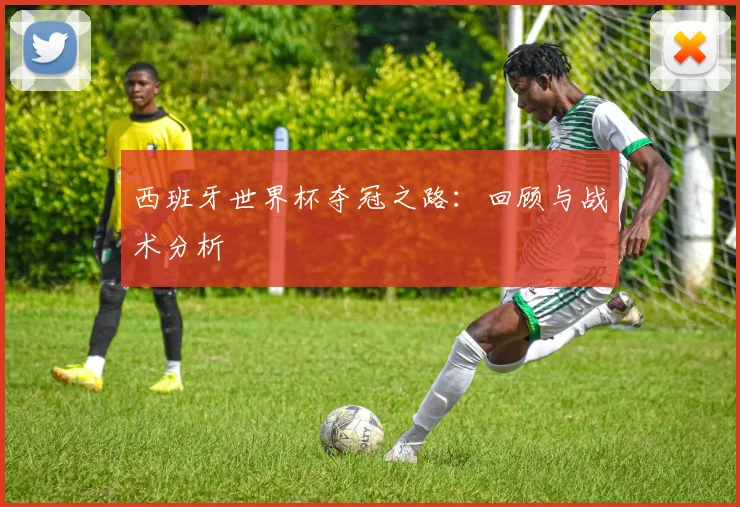 西班牙世界杯夺冠之路：回顾与战术分析