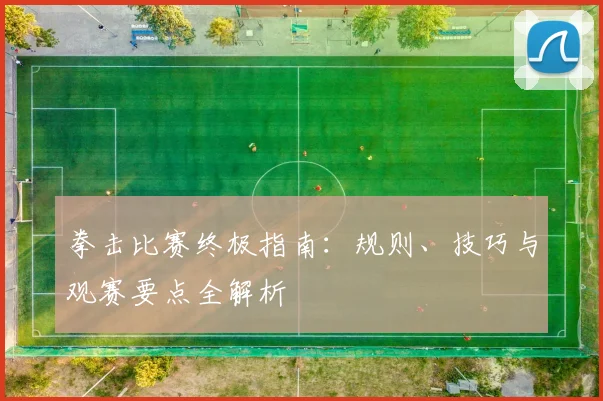 拳击比赛终极指南：规则、技巧与观赛要点全解析